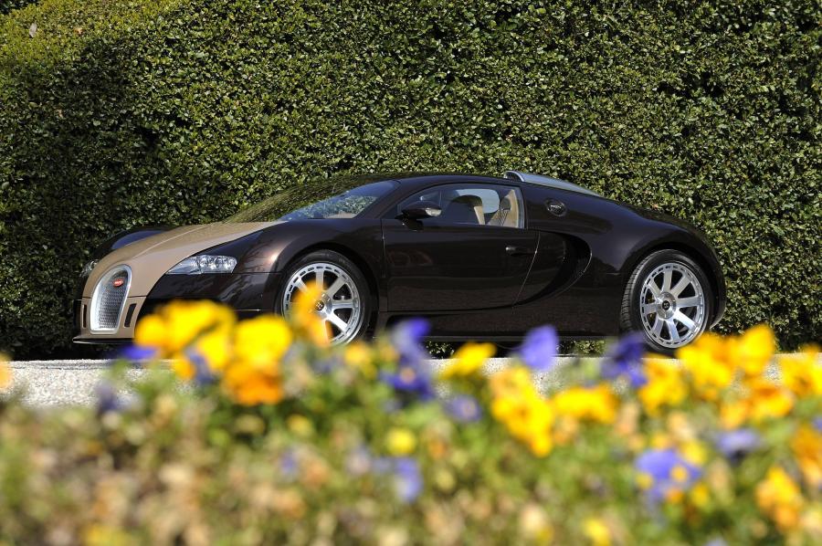  Bugatti Veyron 16.4 2005 года  (фото 81 из 98)